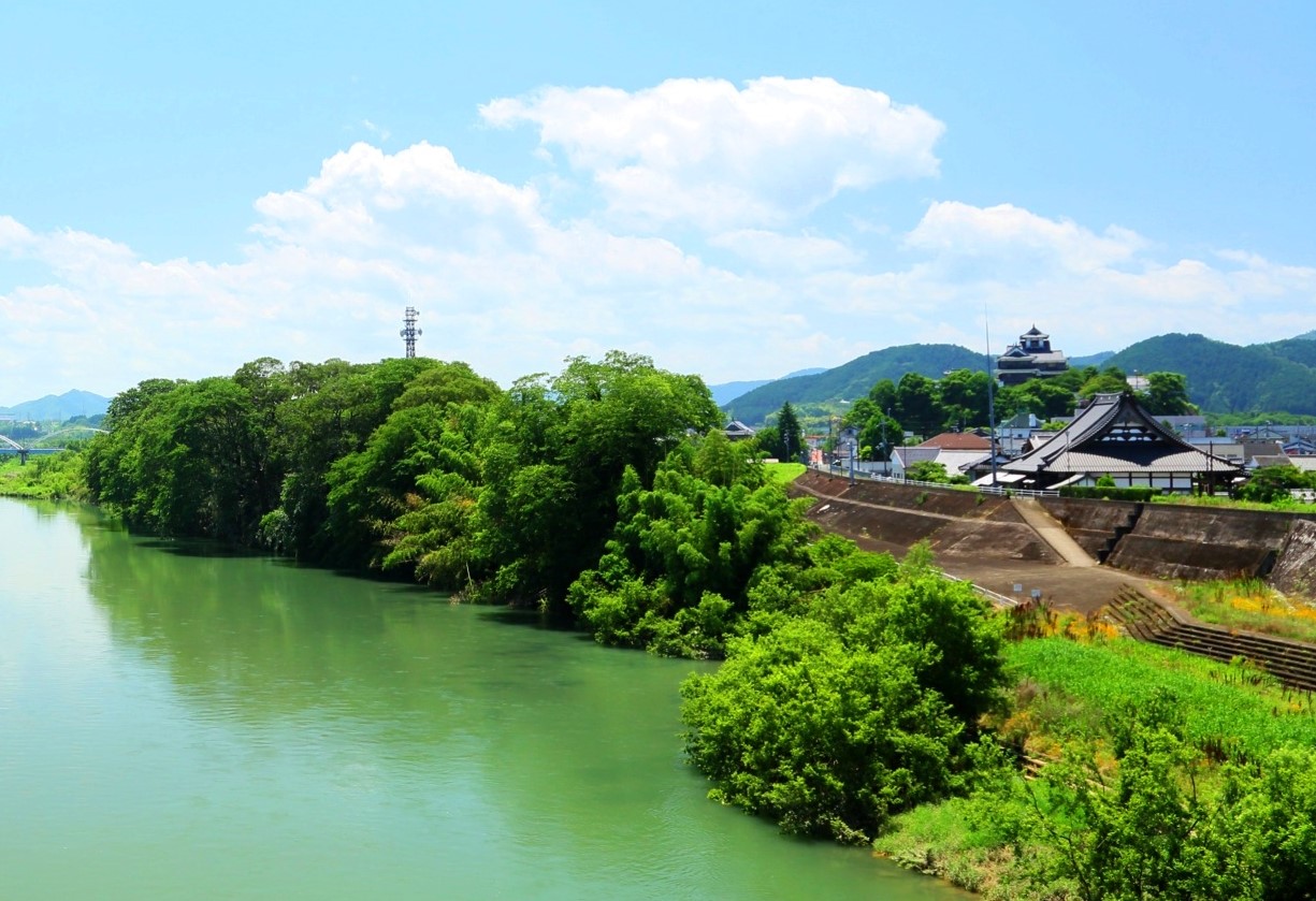 明智藪（蛇ヶ端御藪・光秀堤）（じゃがはなおんやぶ）