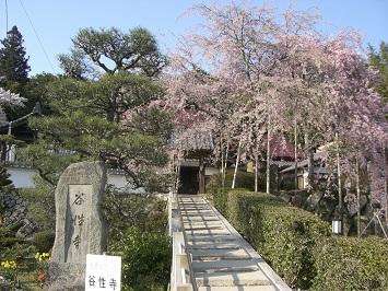 谷性寺(光秀寺)