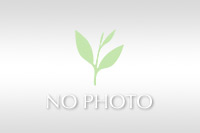 渉成園（枳殻邸）